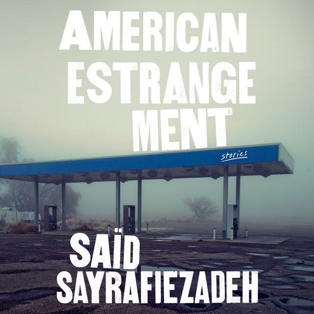 Book cover for American Estrangement