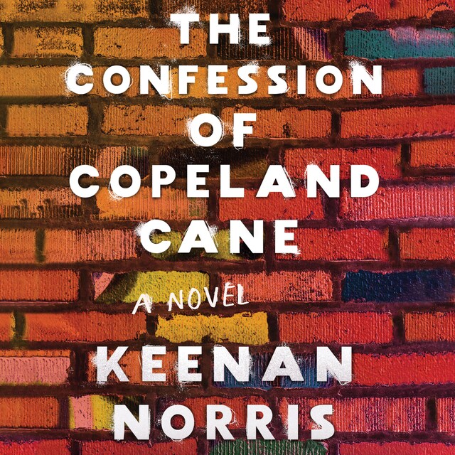 Buchcover für The Confession of Copeland Cane