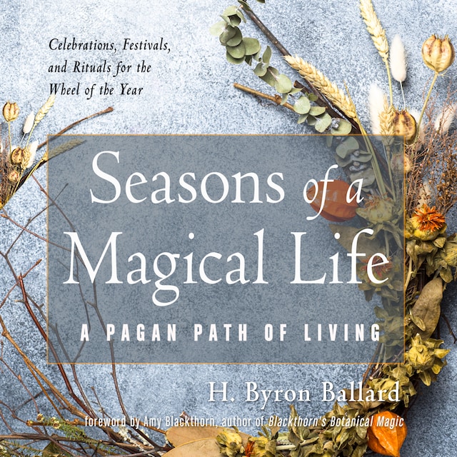 Book cover for Seasons of a Magical Life