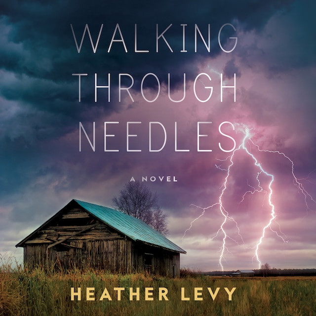 Buchcover für Walking Through Needles