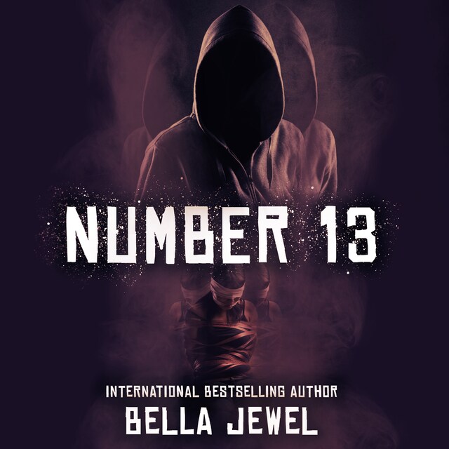 Couverture de livre pour Number Thirteen