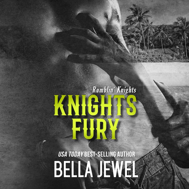 Buchcover für Knights Fury