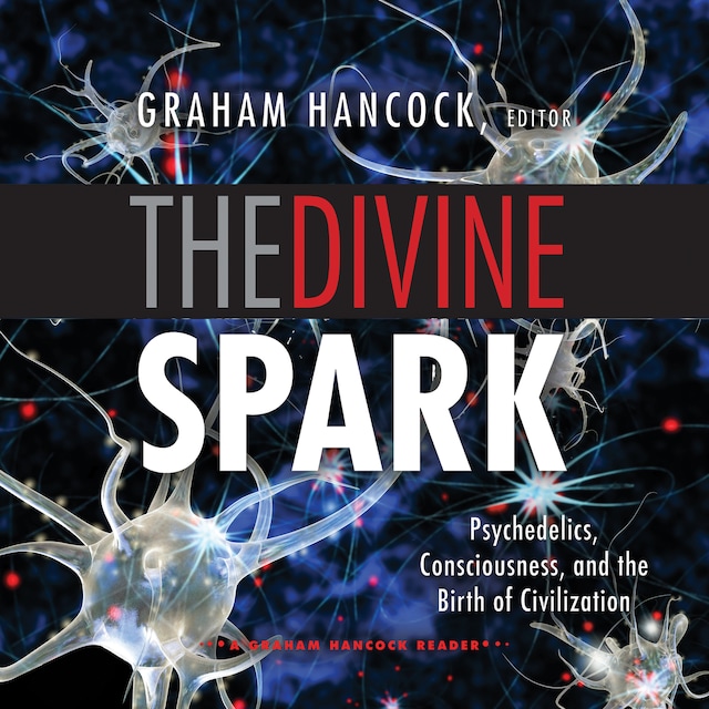 Book cover for The Divine Spark