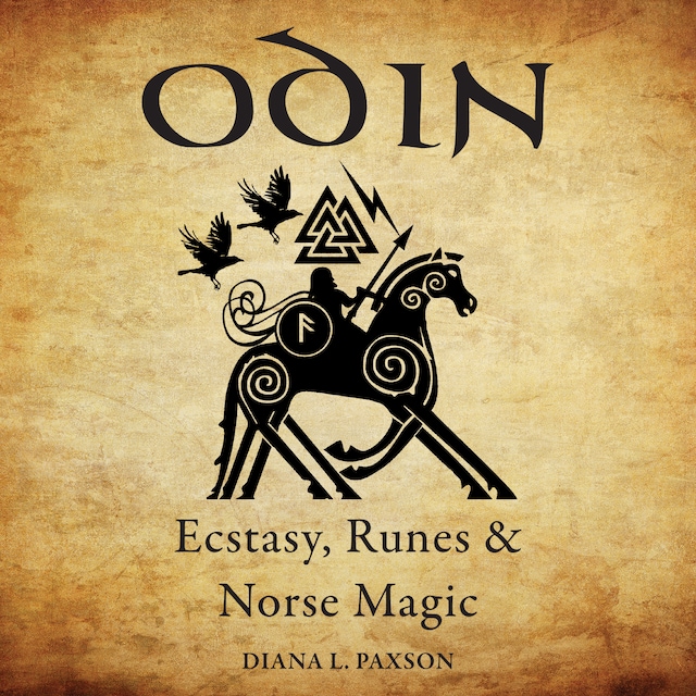 Bogomslag for Odin