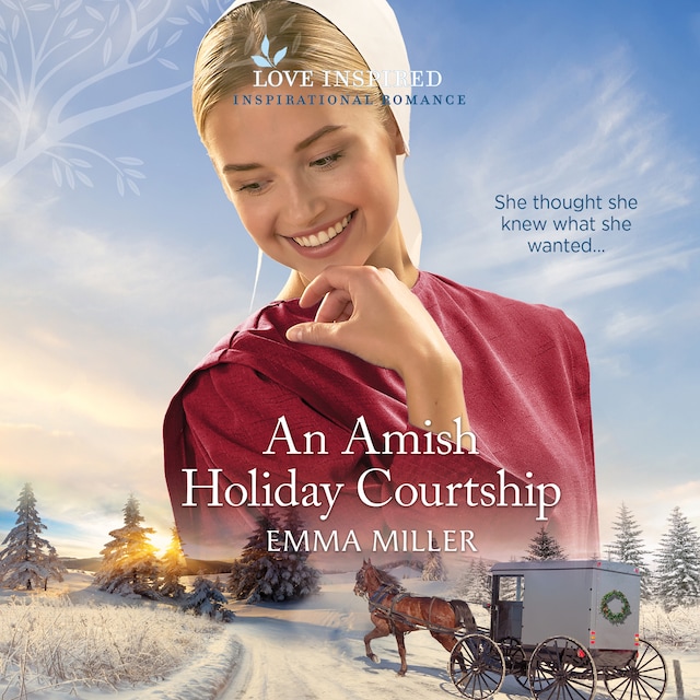 Book cover for An Amish Holiday Courtship