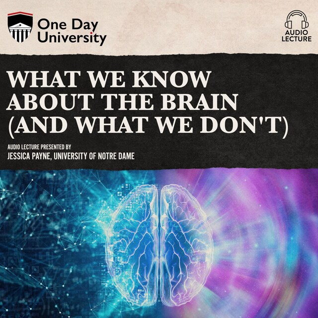 Book cover for What We Know About the Brain (and What We Don't)