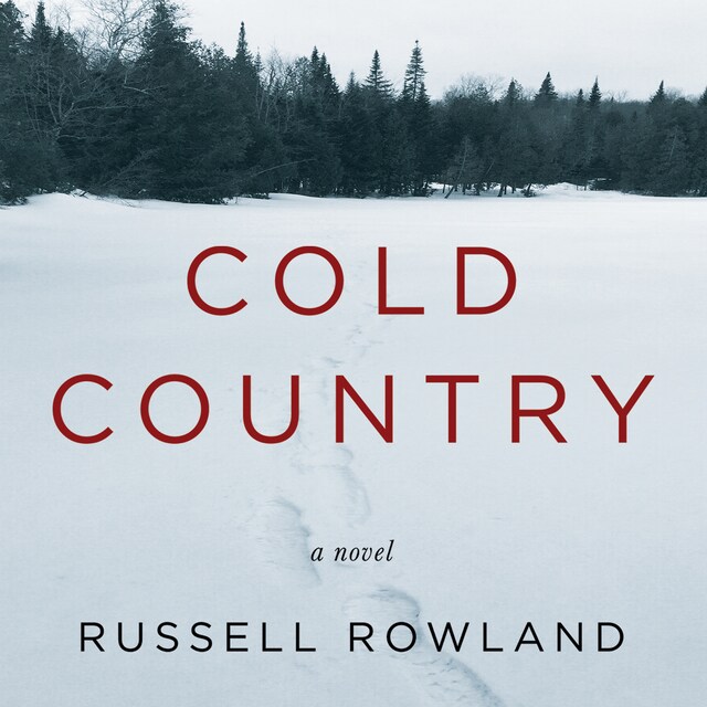 Book cover for Cold Country