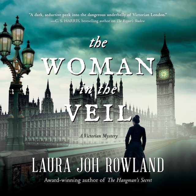 Book cover for The Woman in the Veil