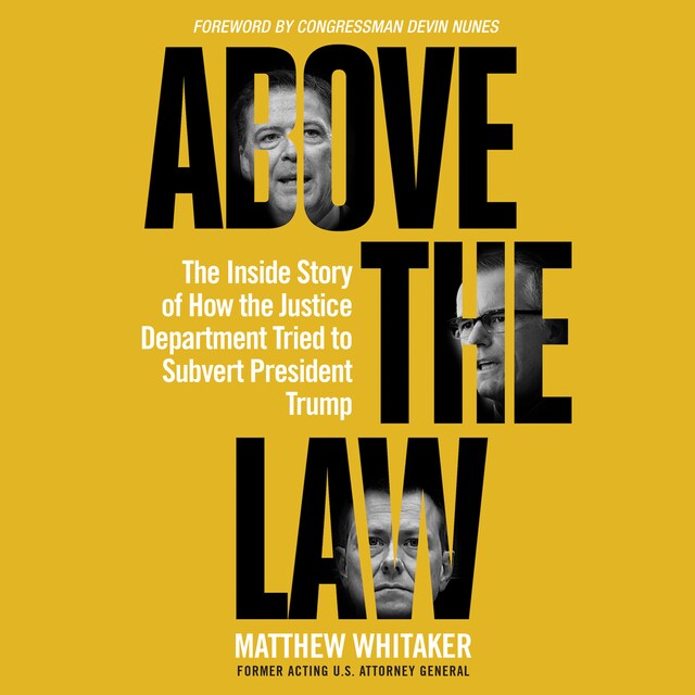 Book cover for Above the Law