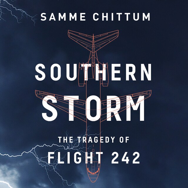 Book cover for Southern Storm