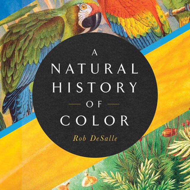 Book cover for A Natural History of Color