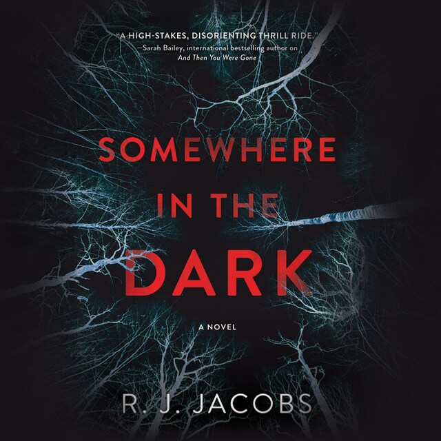 Okładka książki dla Somewhere in the Dark