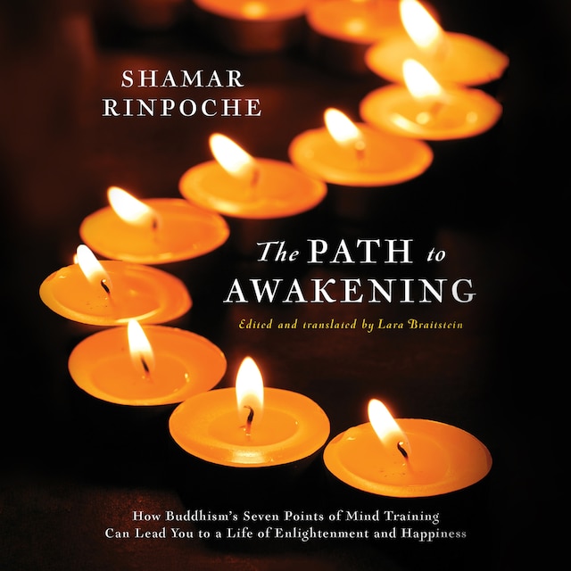 Book cover for The Path to Awakening