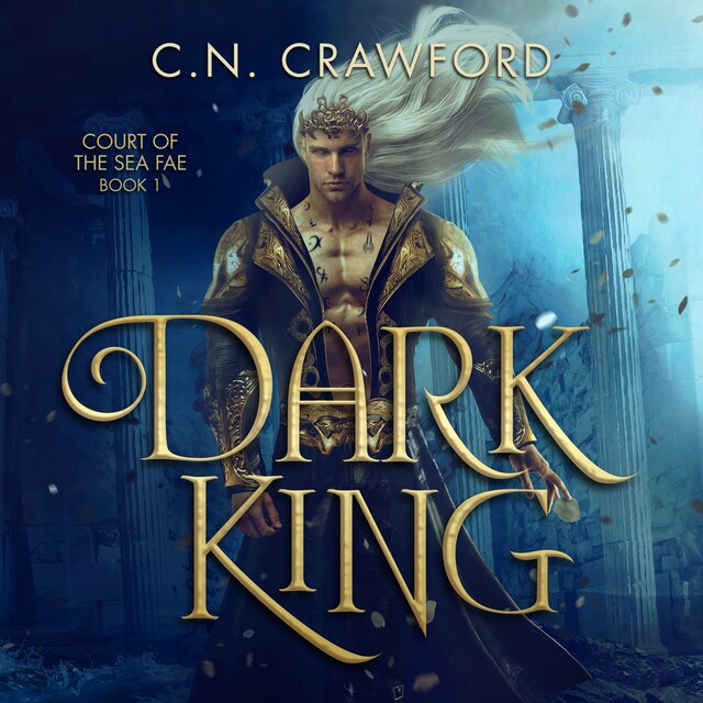 Book cover for Dark King