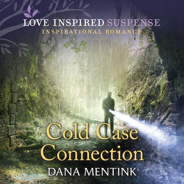 Book cover for Cold Case Connection