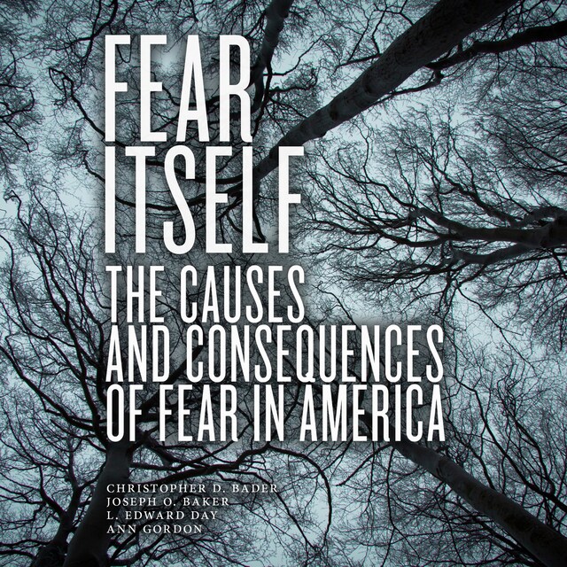 Copertina del libro per Fear Itself