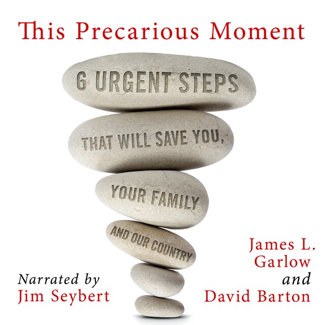 Book cover for This Precarious Moment