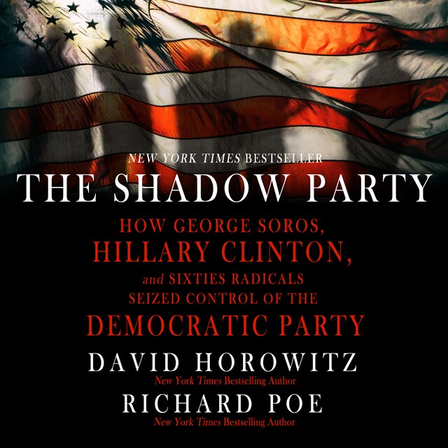 Book cover for The Shadow Party