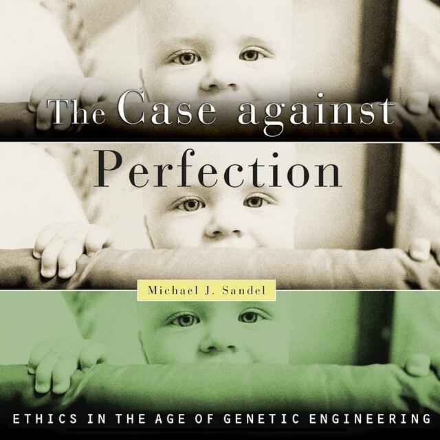 Book cover for The Case Against Perfection