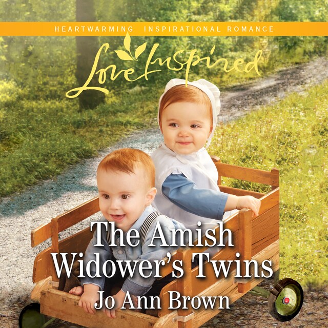 Book cover for Amish Widower's Twins