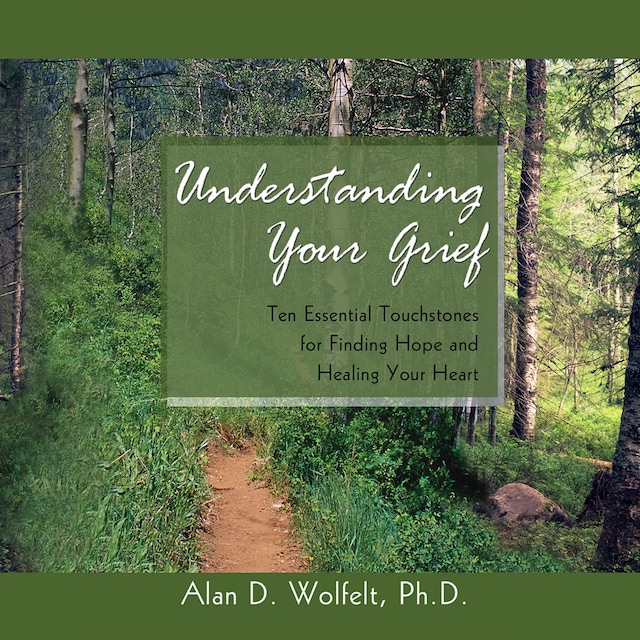 Book cover for Understanding Your Grief