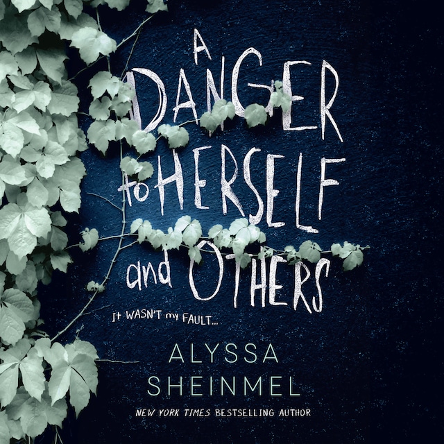 Book cover for A Danger to Herself and Others