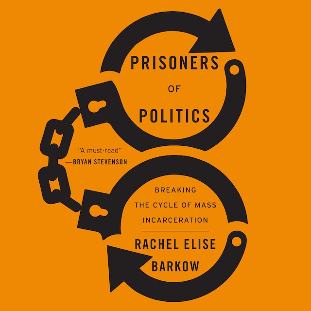 Book cover for Prisoners of Politics