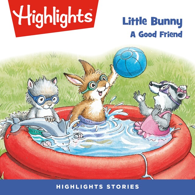 Book cover for Little Bunny: A Good Friend