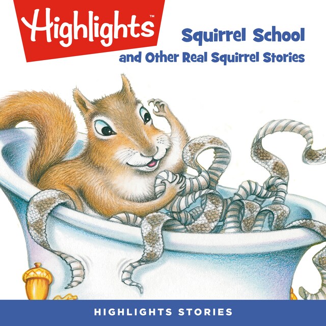 Kirjankansi teokselle Squirrel School and Other Real Squirrel Stories