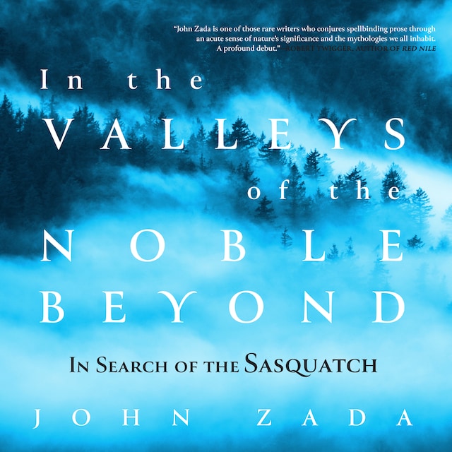 Book cover for In the Valleys of the Noble Beyond