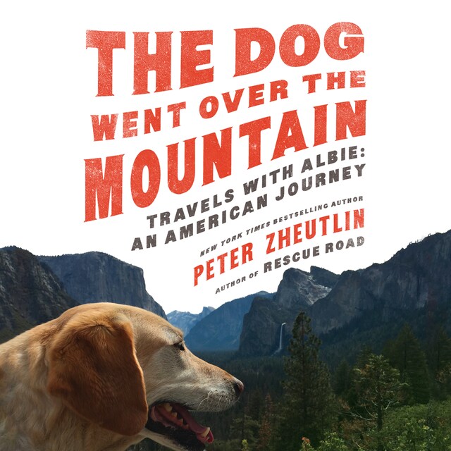 Book cover for The Dog Went Over the Mountain