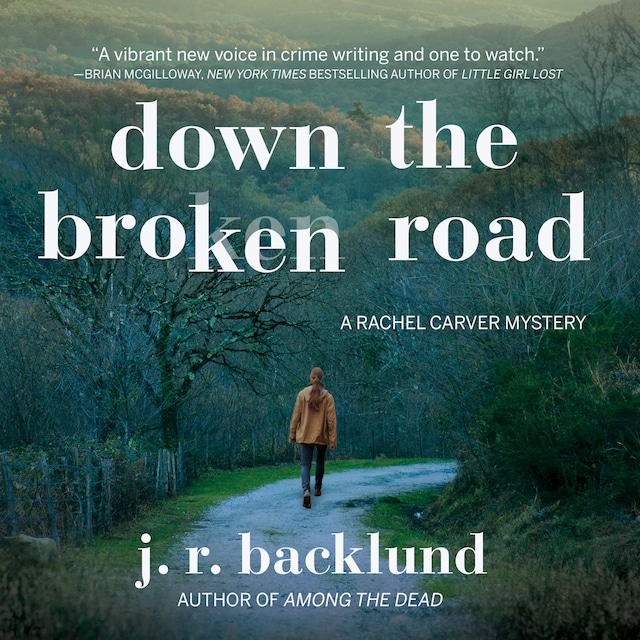 Book cover for Down the Broken Road