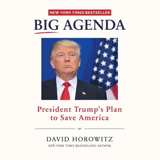 Book cover for Big Agenda