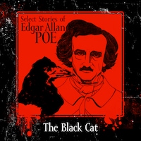 The Black Cat