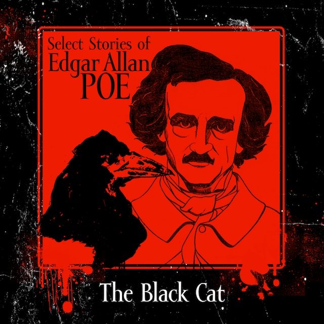 Okładka książki dla The Black Cat