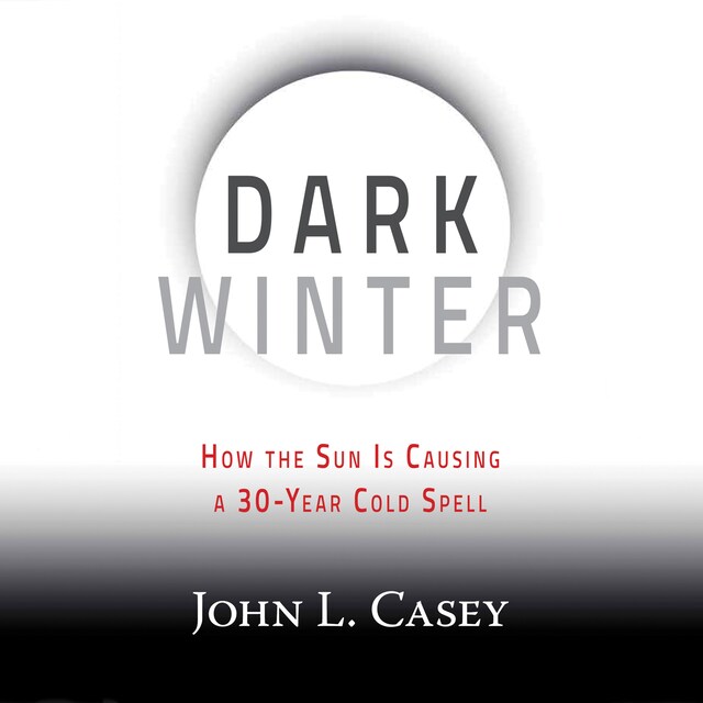 Book cover for Dark Winter