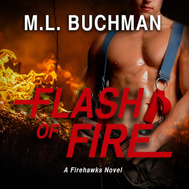 Buchcover für Flash of Fire