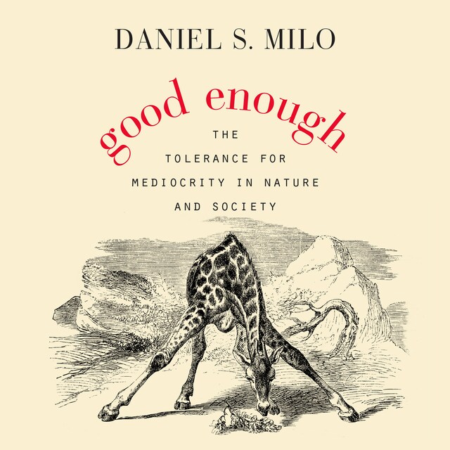 Book cover for Good Enough