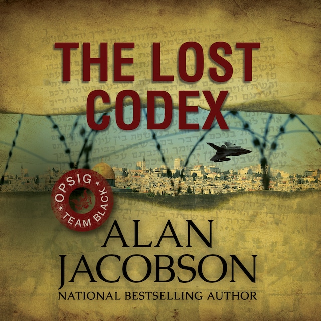 Book cover for The Lost Codex