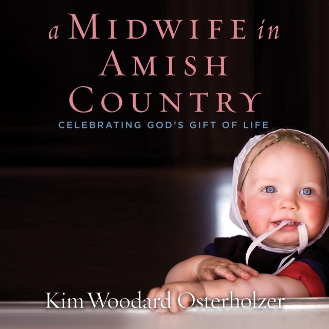 Kirjankansi teokselle A Midwife in Amish Country