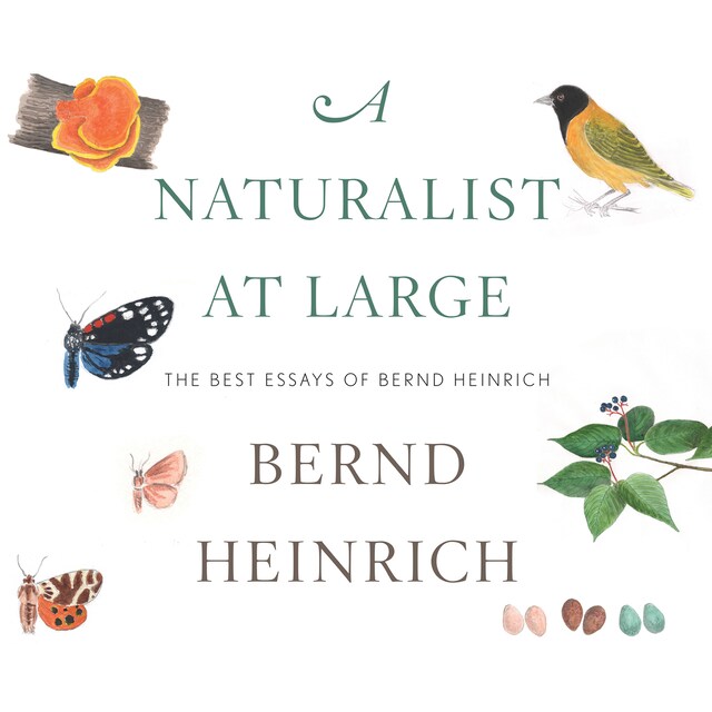 Buchcover für A Naturalist at Large