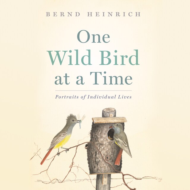 Buchcover für One Wild Bird at a Time