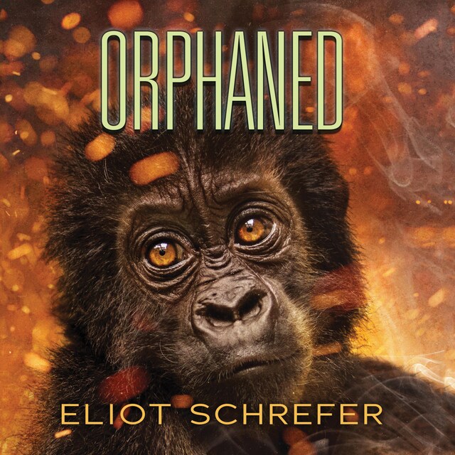 Book cover for Orphaned