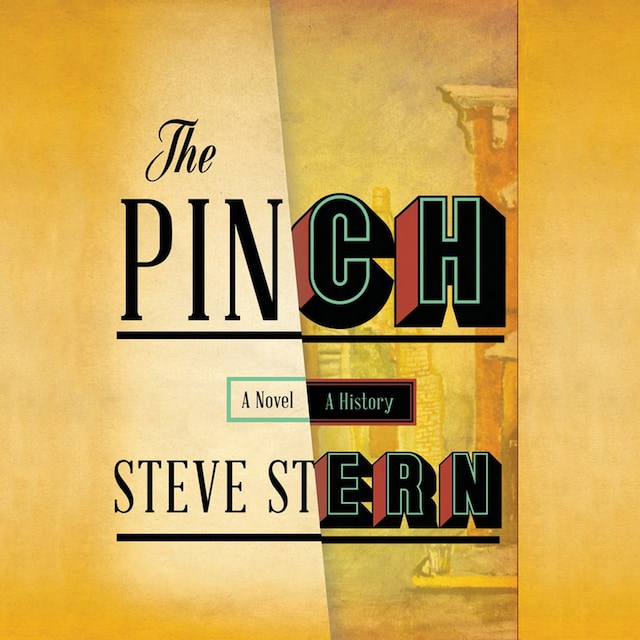 Book cover for The Pinch