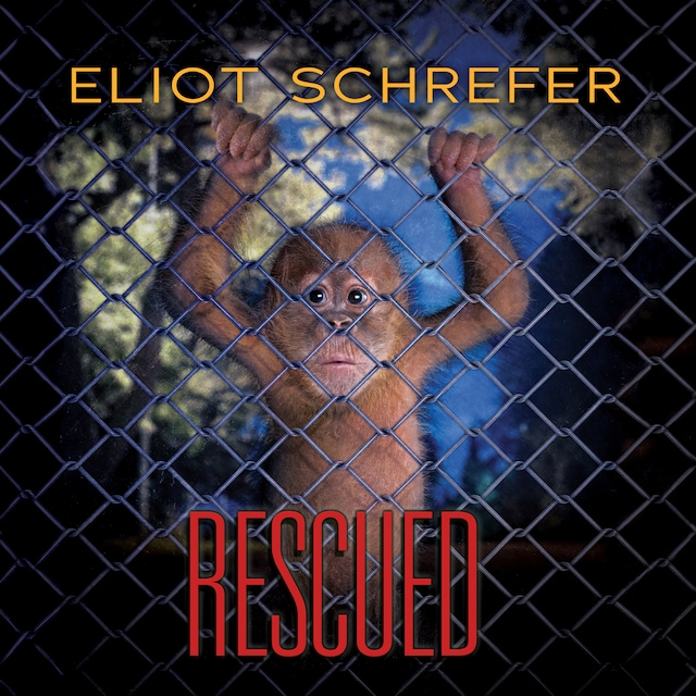 Book cover for Rescued
