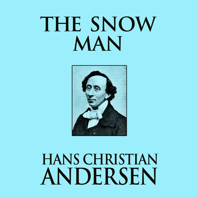 Book cover for The Snow Man