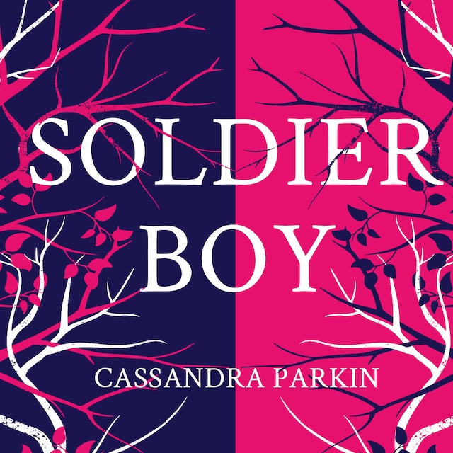 Book cover for Soldier Boy