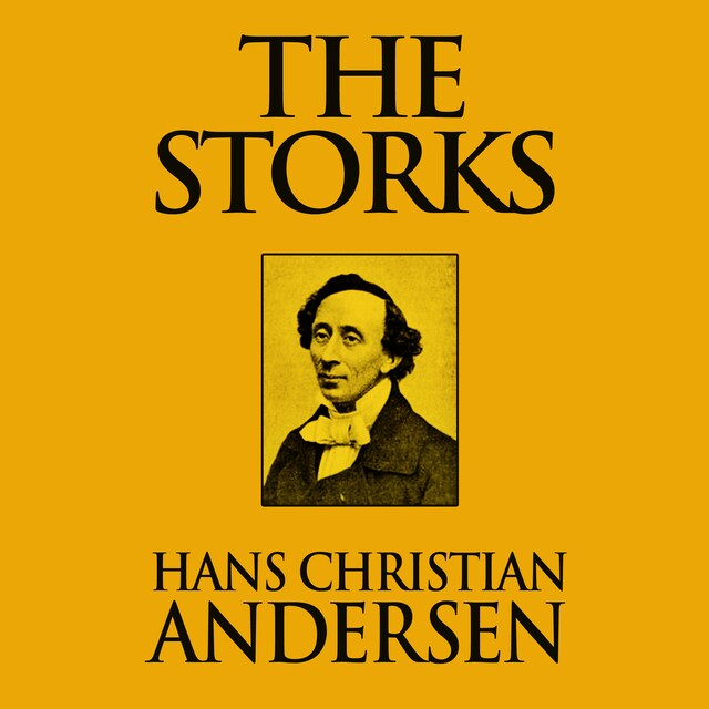 Buchcover für The Storks
