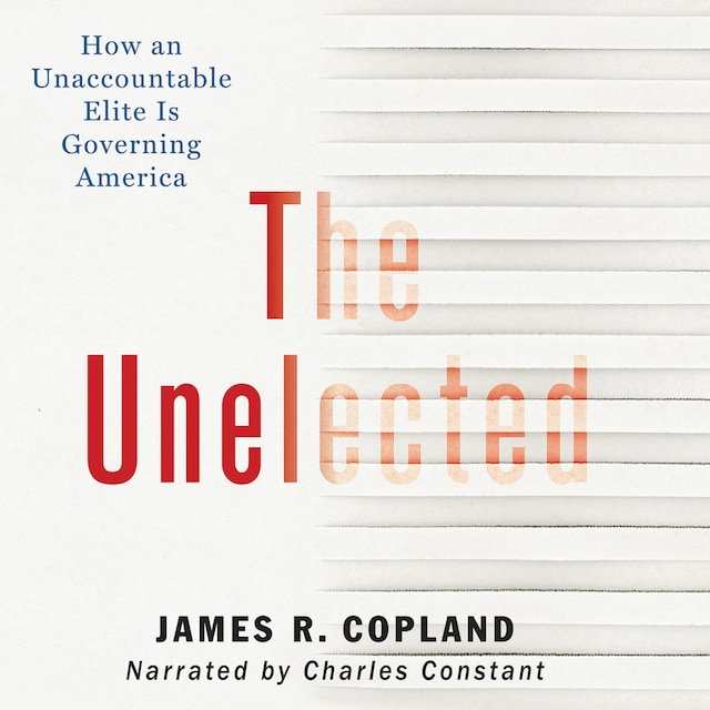 Book cover for The Unelected