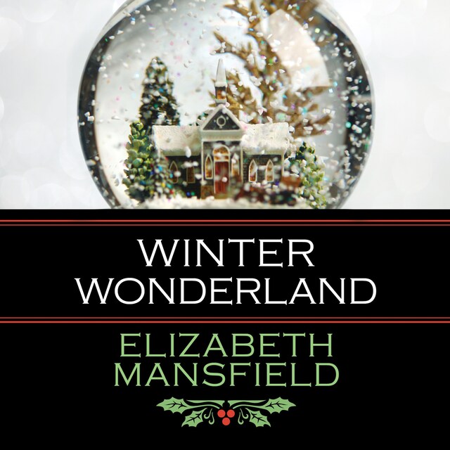 Boekomslag van Winter Wonderland